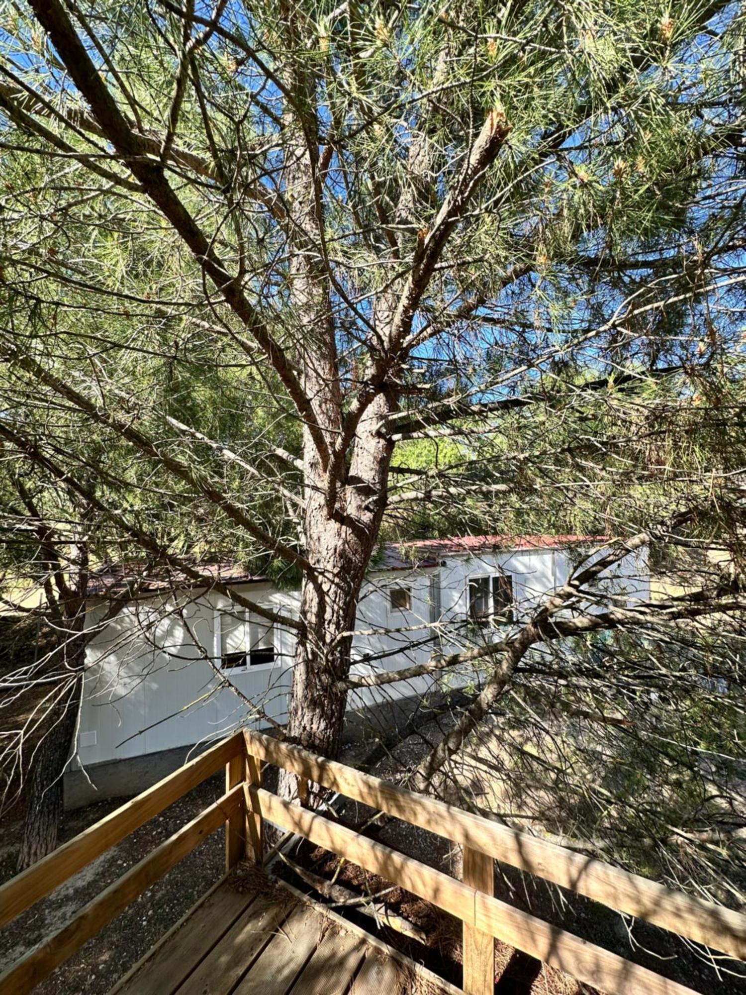 Bungalow Golosina Torrelaguna Eksteriør billede