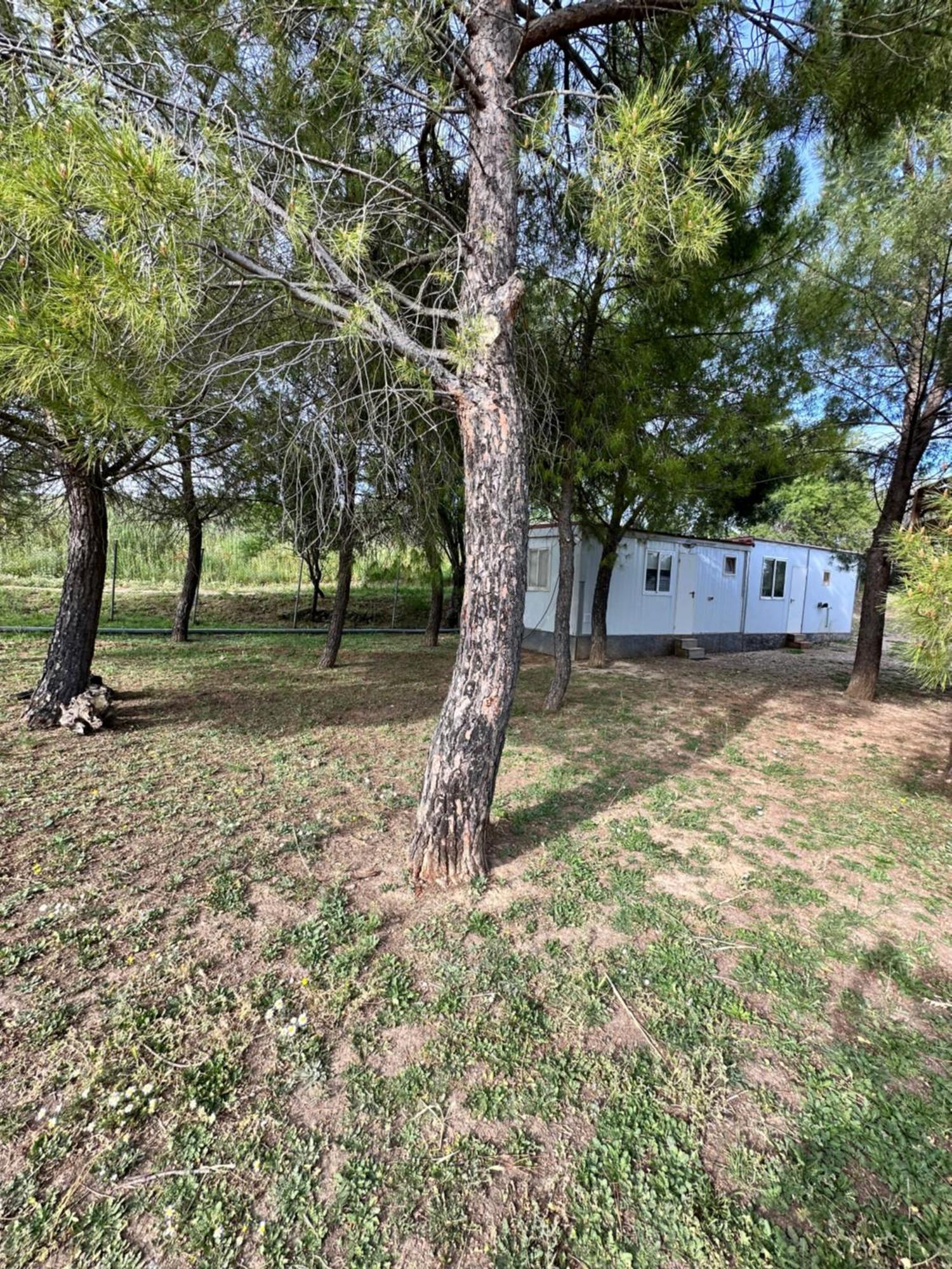 Bungalow Golosina Torrelaguna Eksteriør billede
